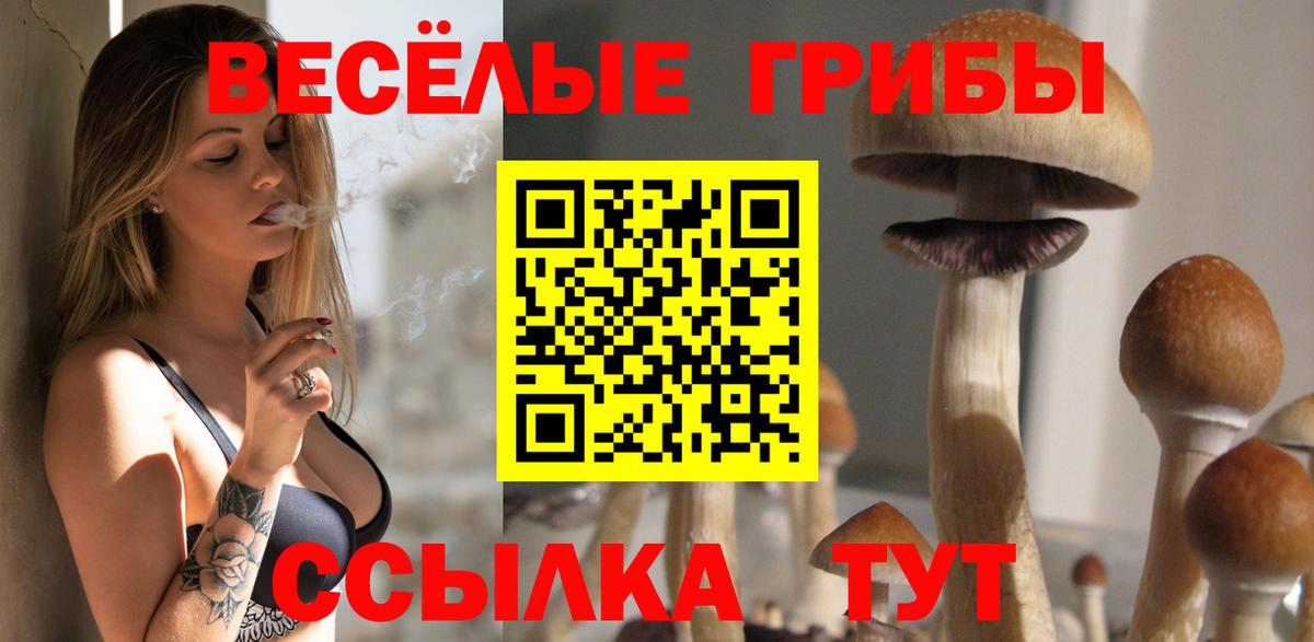 Псилоцибиновые грибы мицелий  Вход с VPN  Майкоп 